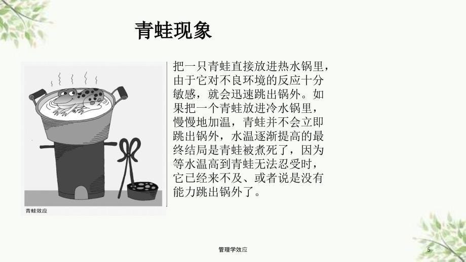 管理学效应课件_第5页