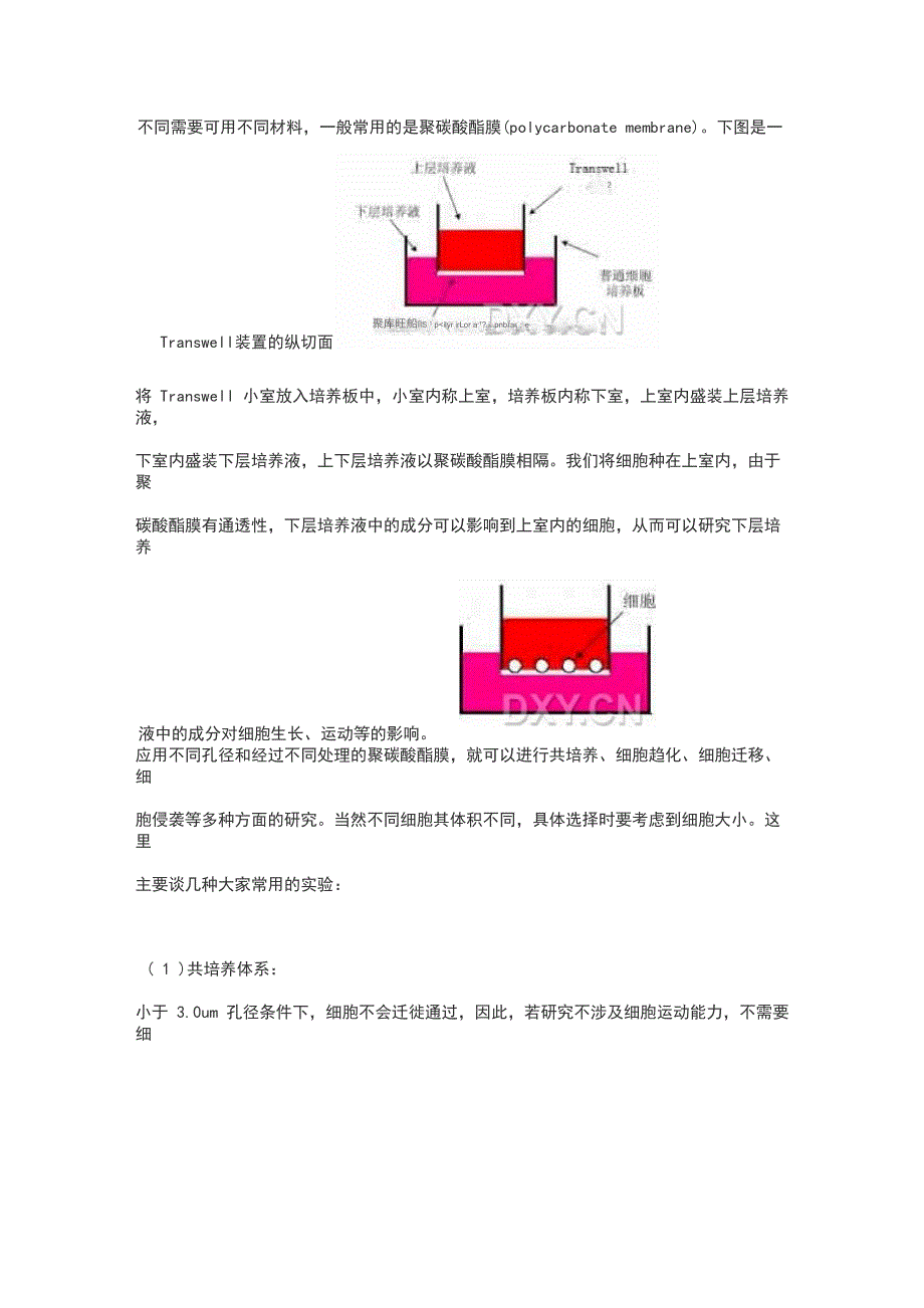 Transwell侵袭实验全面总结材料_第2页