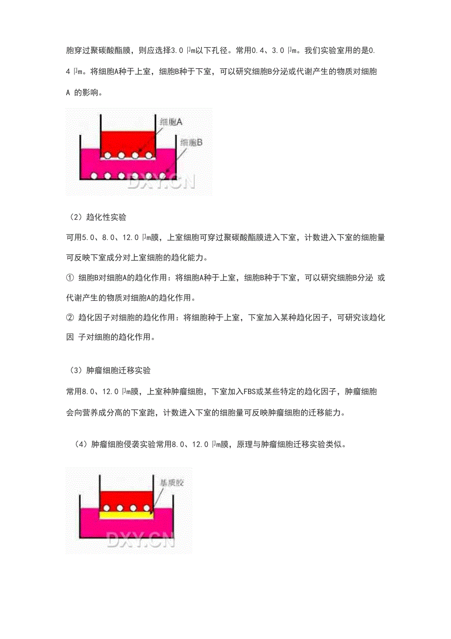 Transwell侵袭实验全面总结材料_第3页