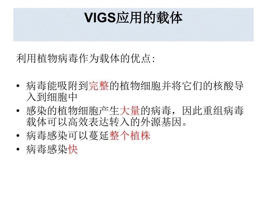 VIG病毒诱导基因沉默技术经典实用_第5页