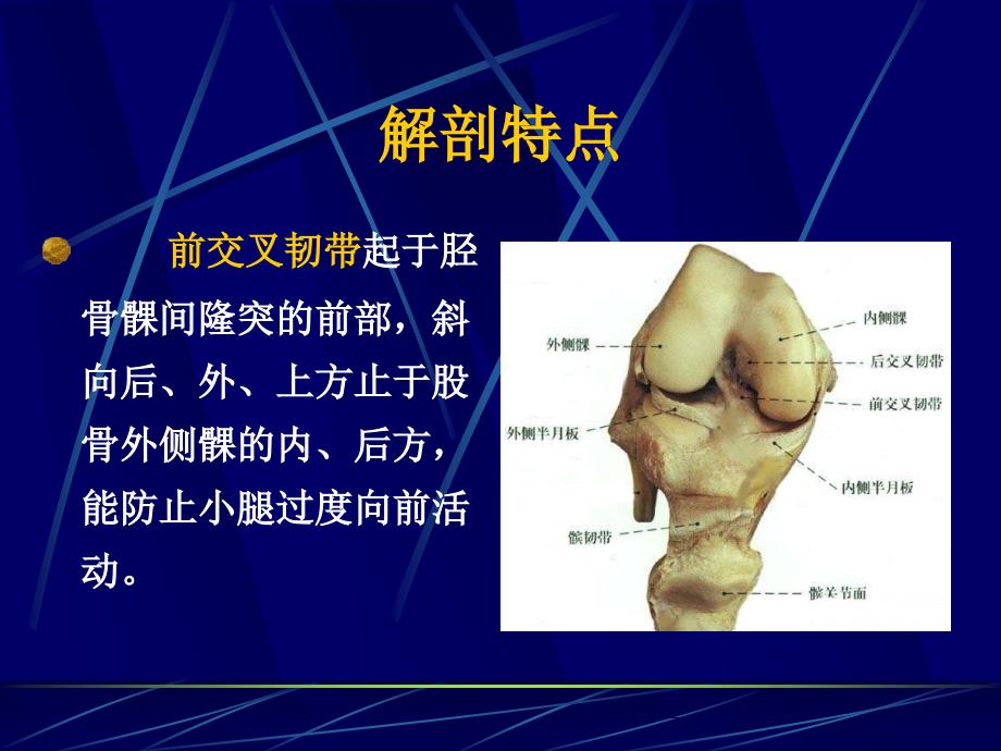 膝关节交叉韧带损伤_第2页