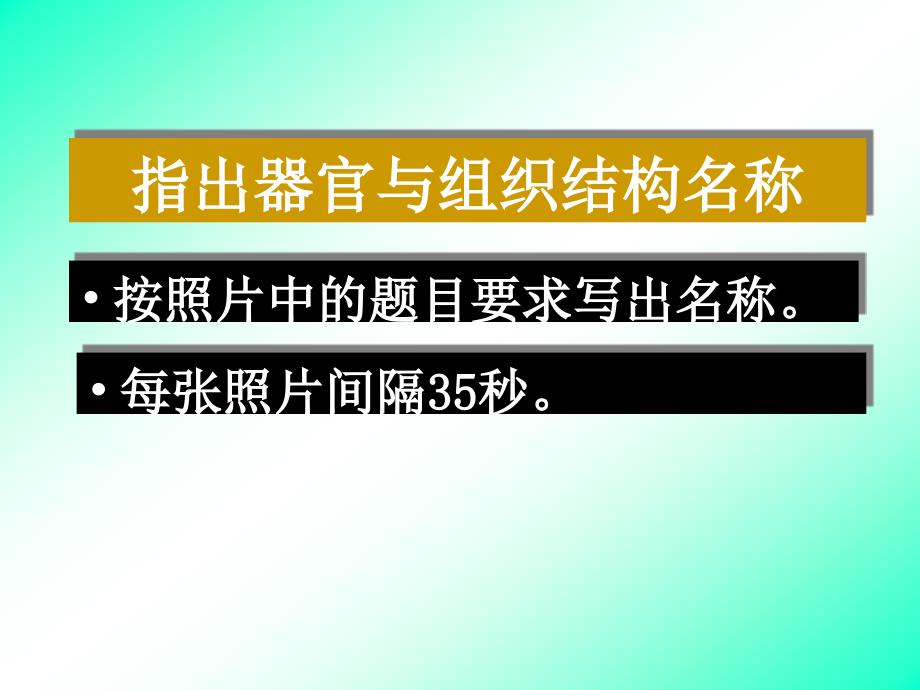 组织学与胚胎学实验：内分泌系统_第2页