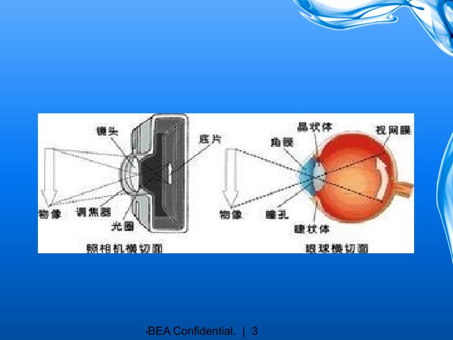 眼科护理知识点课件_第3页