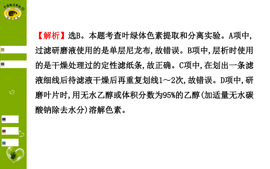 实验8绿叶中色素的提取和分离_第4页