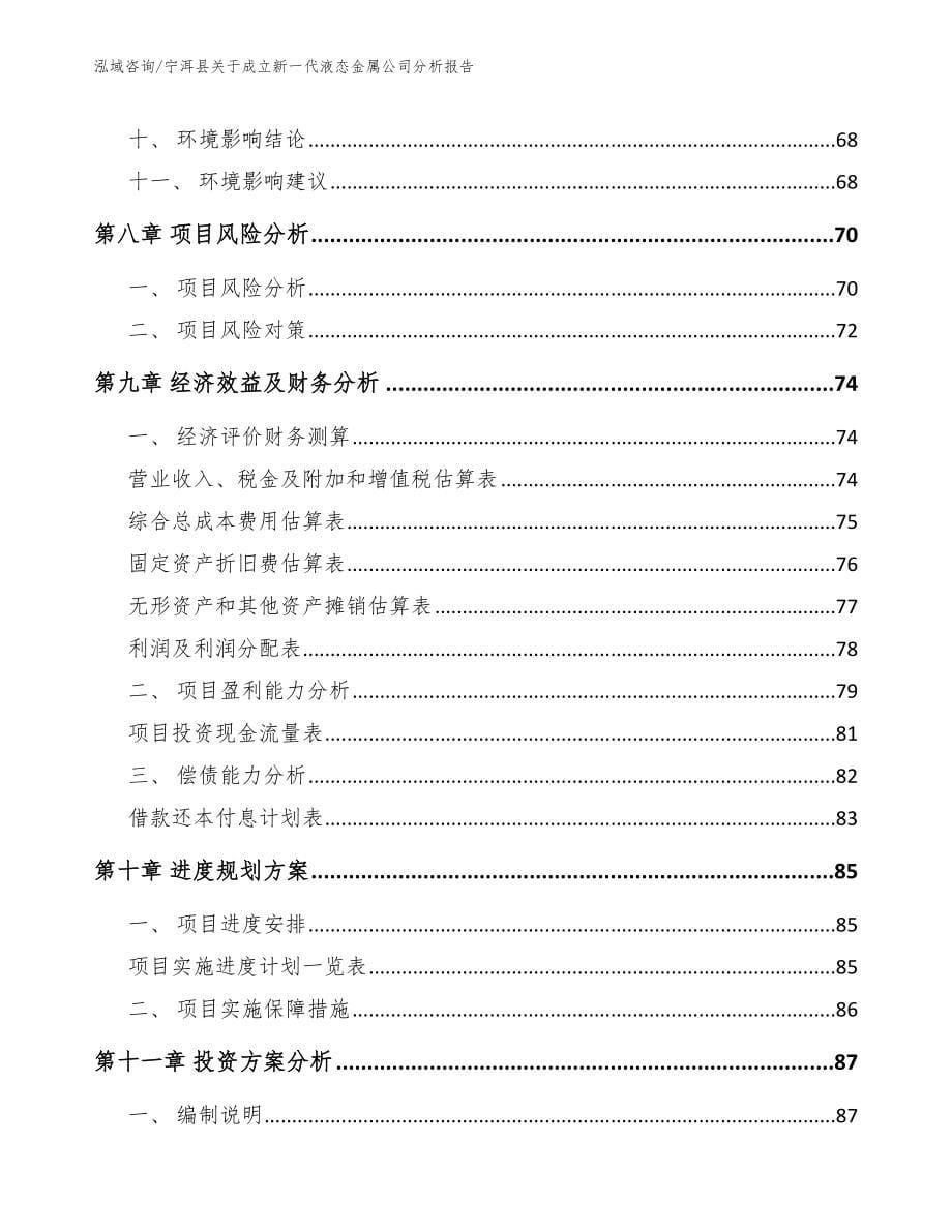 宁洱县关于成立新一代液态金属公司分析报告_第5页
