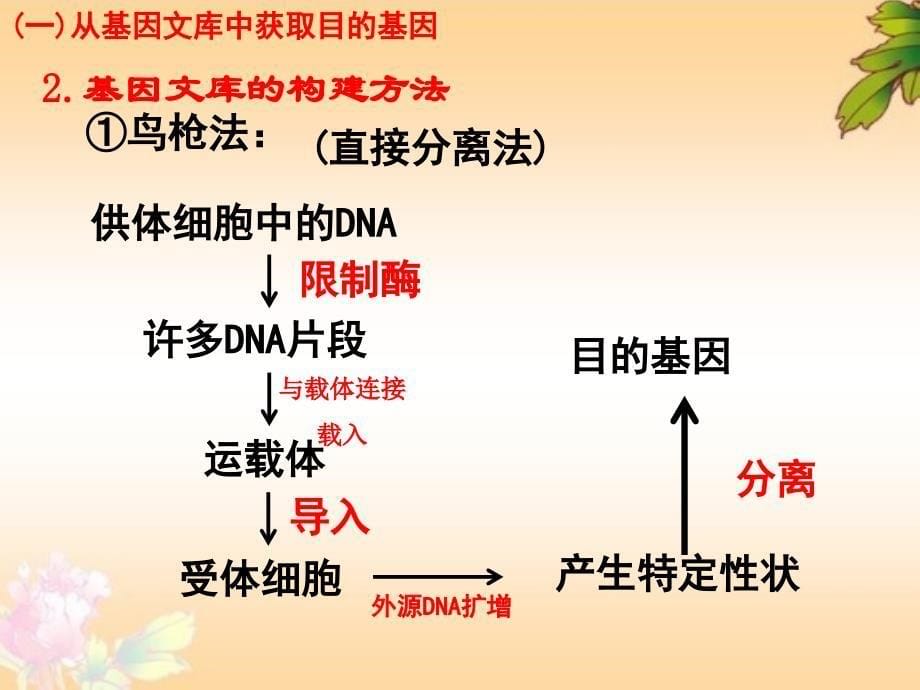 新课标人教版高中生物选修三专题一《基因工程的基本操作程序》精品课件_第5页