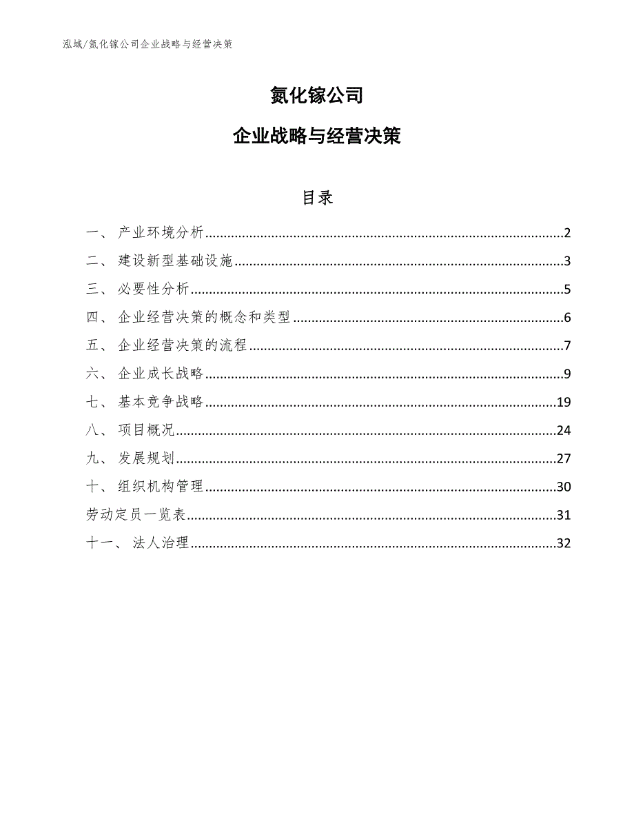 氮化镓公司企业战略与经营决策（范文）_第1页