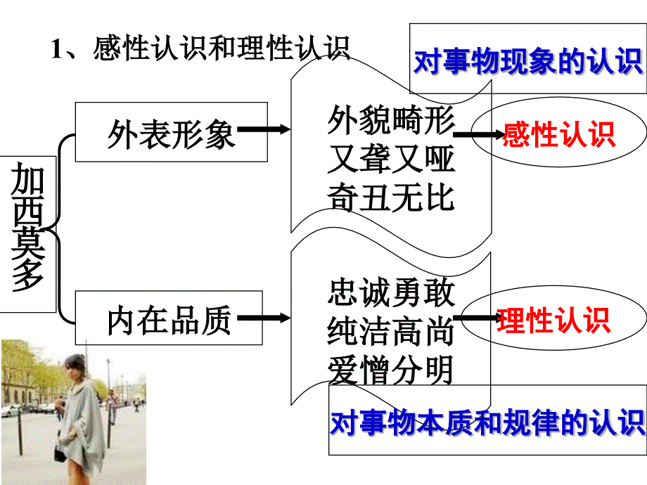 认识的根本任务是经过感性认识上升到理性认识透过现象抓住事物的本质和规律_第4页