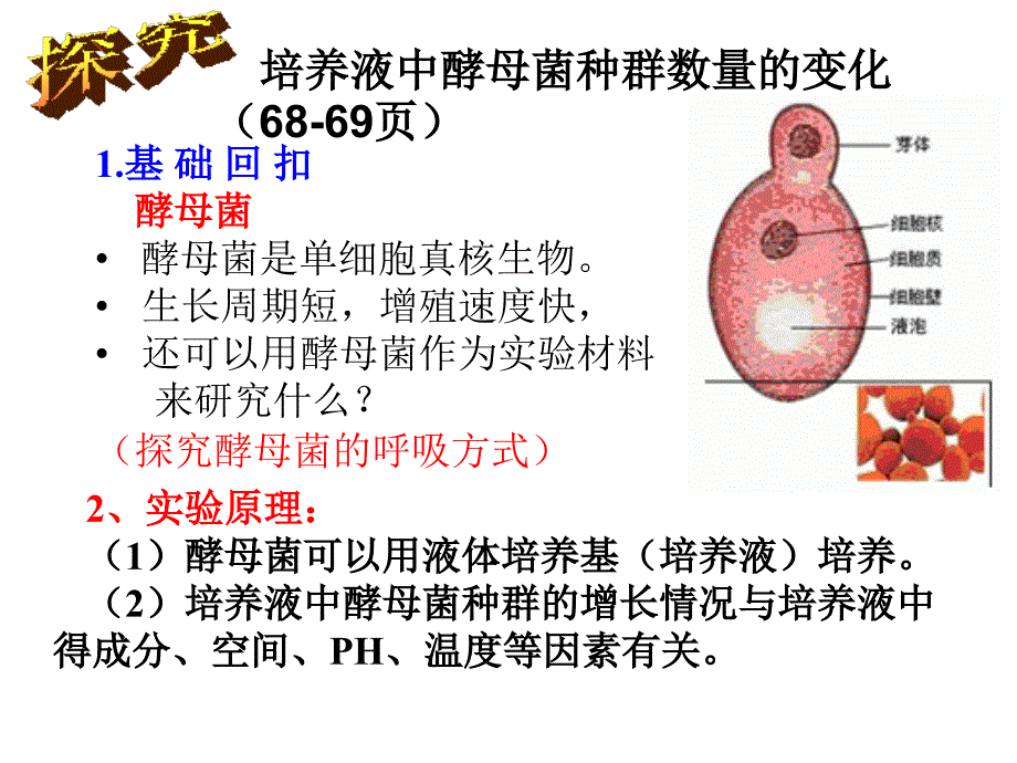 探究培养液中酵母菌种群数量的动态变化上_第1页