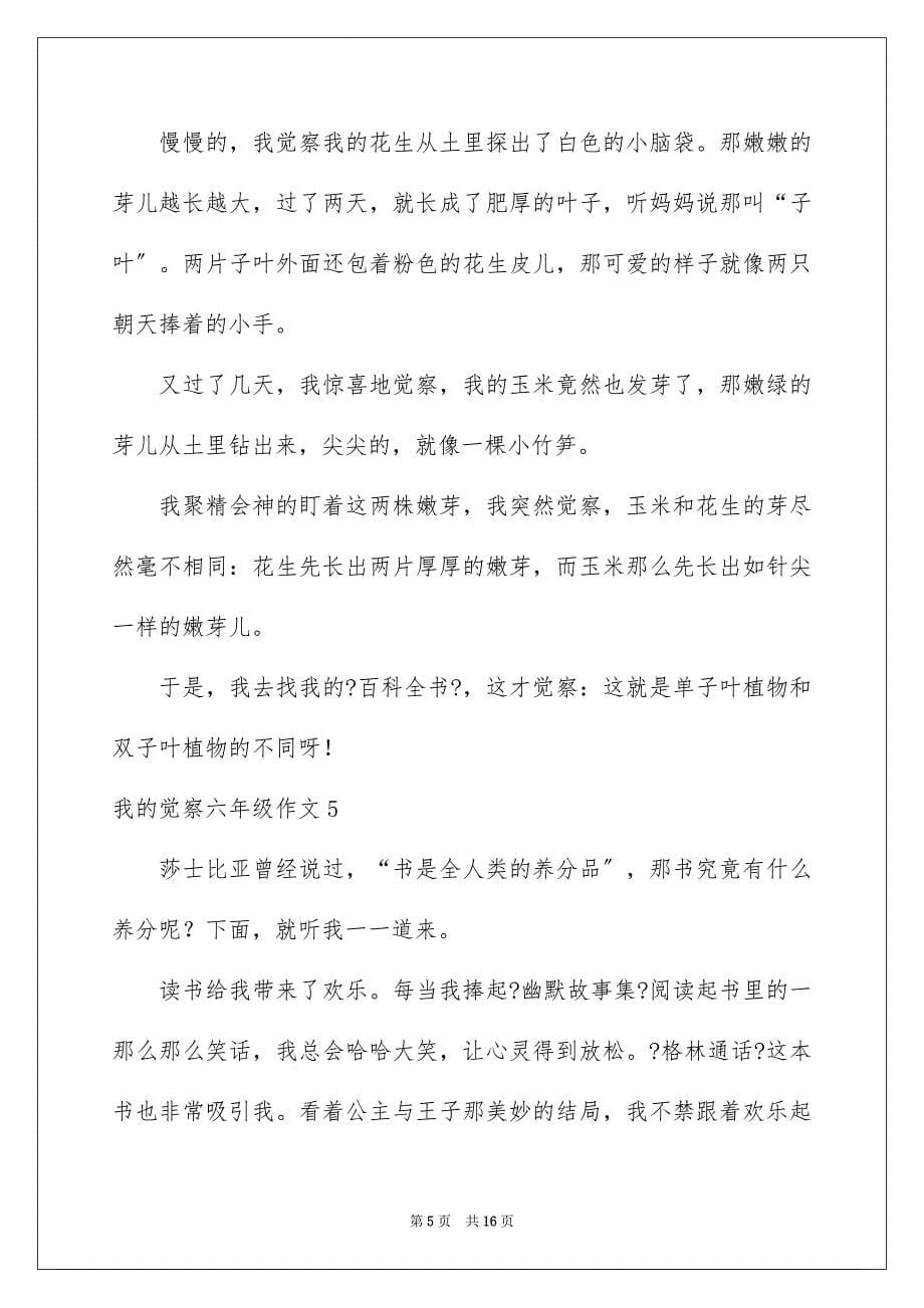 2023年我的发现六年级作文3范文.docx_第5页