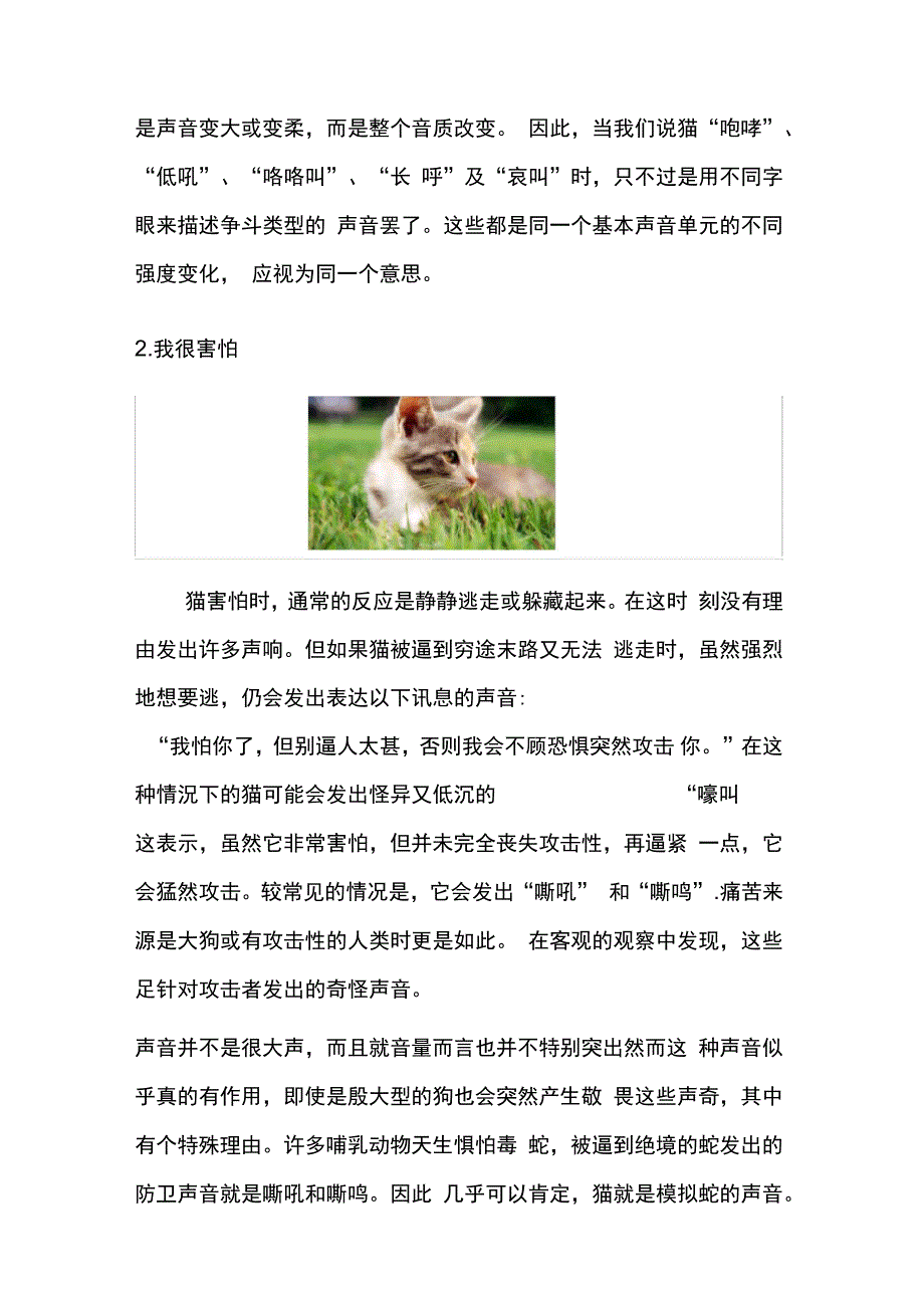 猫咪表达情绪时发出的7种声音_第4页