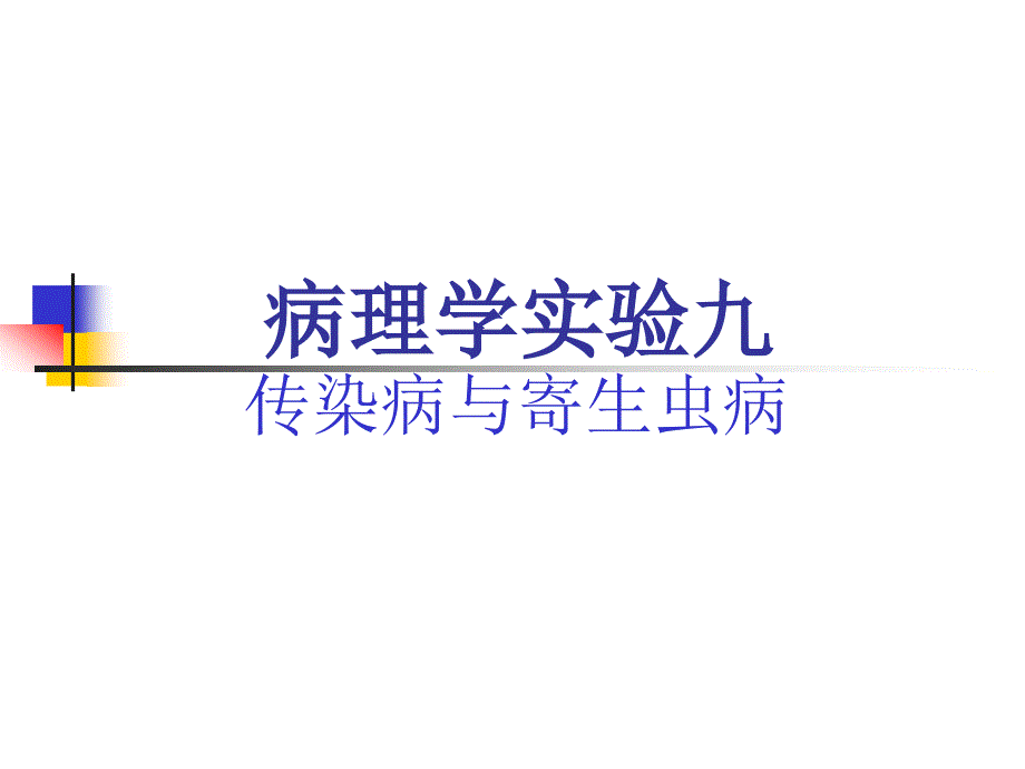 实验九传染病与寄生虫病PPT课件_第1页