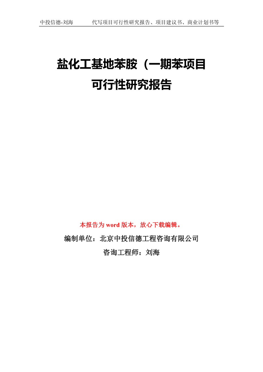 盐化工基地苯胺（一期苯项目可行性研究报告模版_第1页