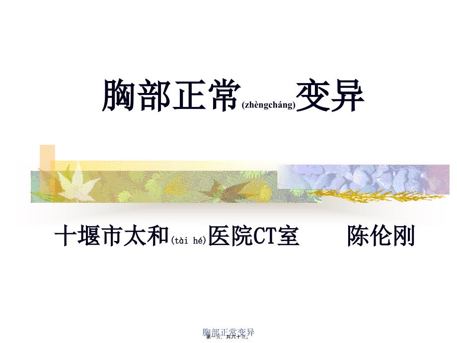 胸部正常变异课件_第1页