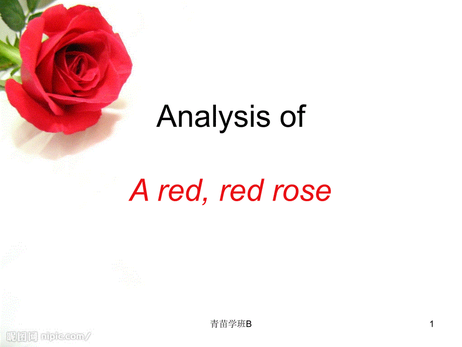 Aredredrose英文赏析重点修辞中小课堂_第1页