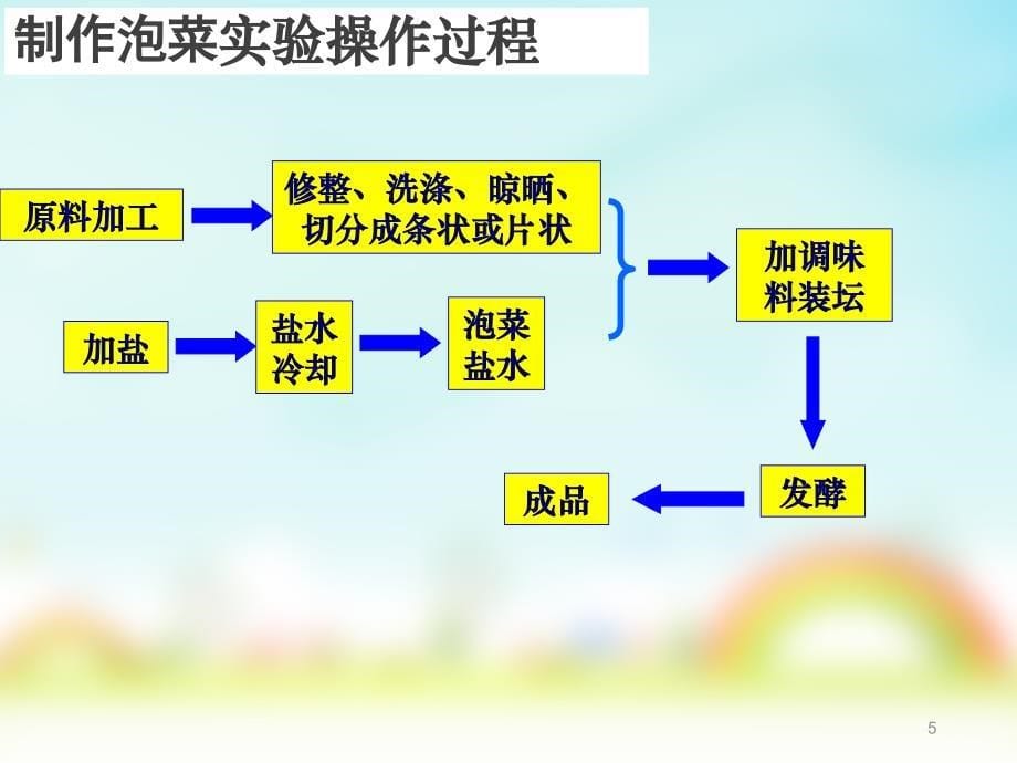 制作泡菜并测定泡菜中亚硝酸盐含量_第5页