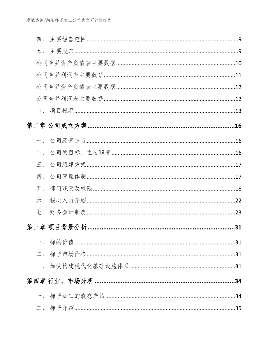 绵阳柿子加工公司成立可行性报告【范文模板】_第4页