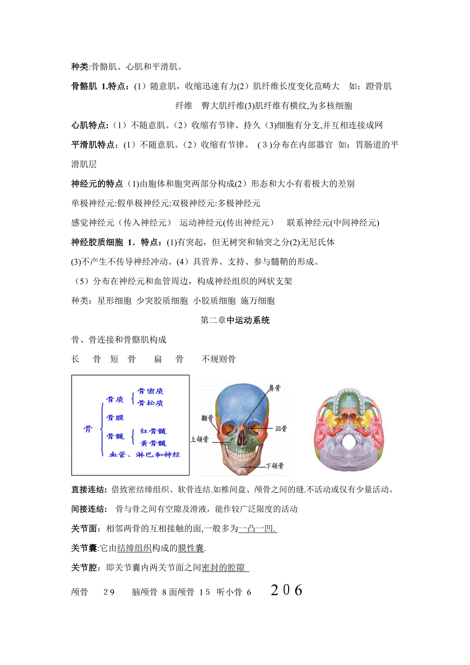 解剖生理学部分重点_第4页