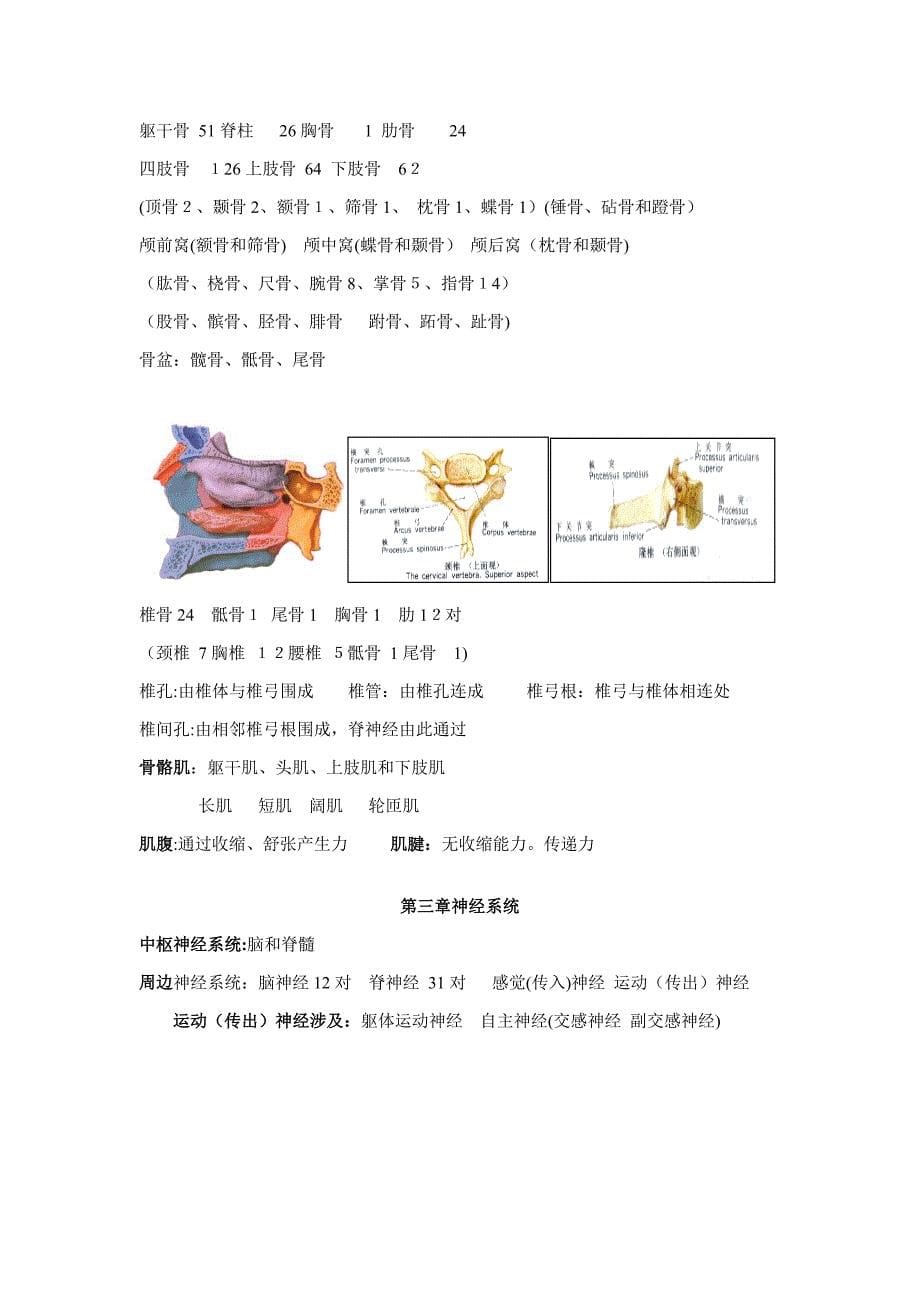 解剖生理学部分重点_第5页