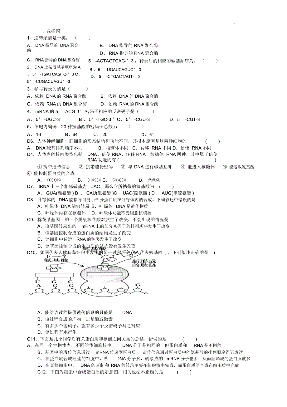 转录翻译试题_第1页