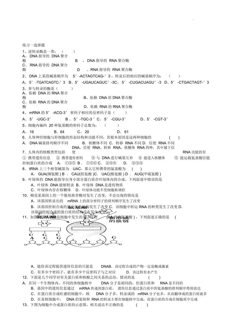 转录翻译试题_第5页