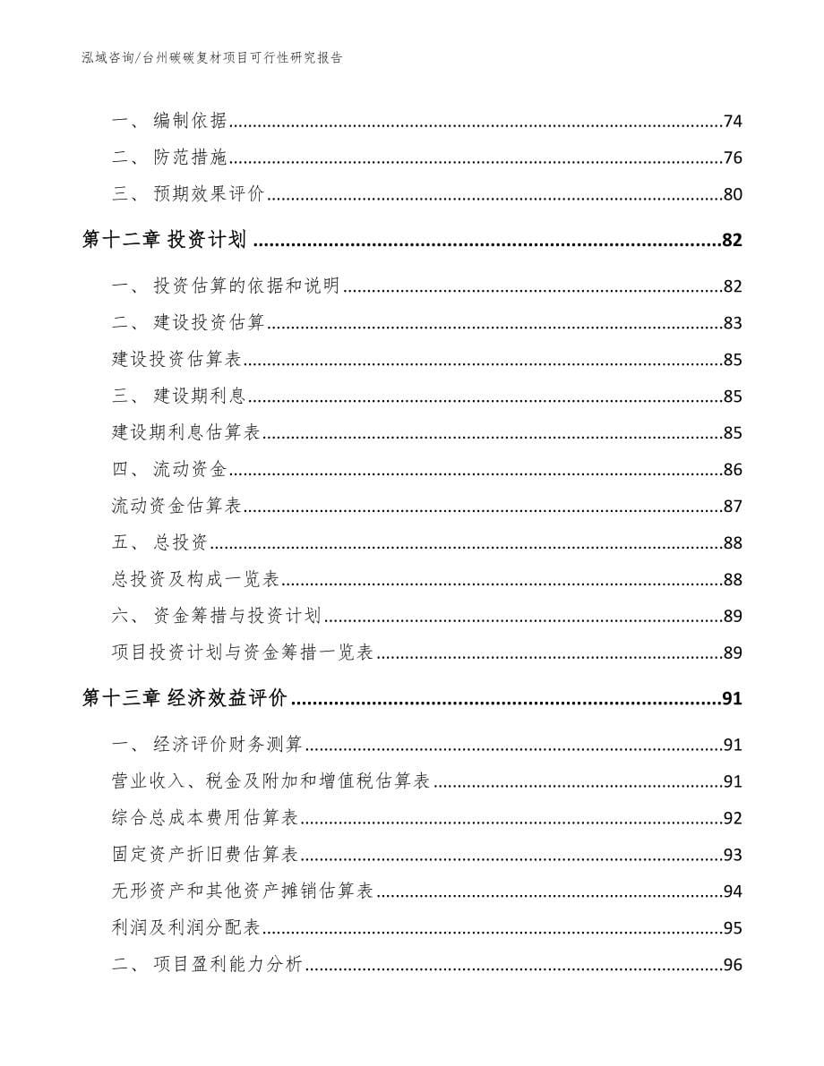 台州碳碳复材项目可行性研究报告【范文模板】_第5页