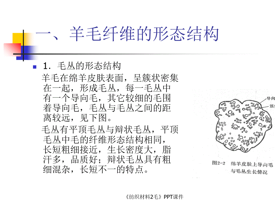 纺织材料2毛课件_第3页