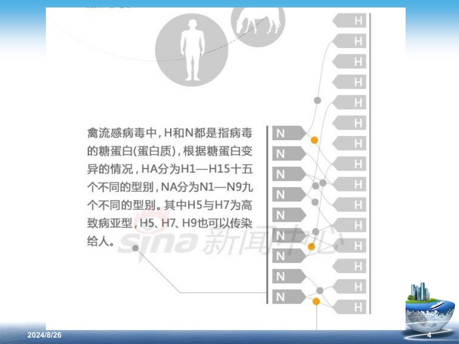 h7n9禽流感的防治 ppt课件_第4页