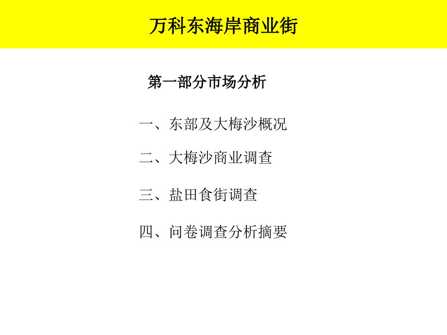 韶关商业街项目定位_第3页