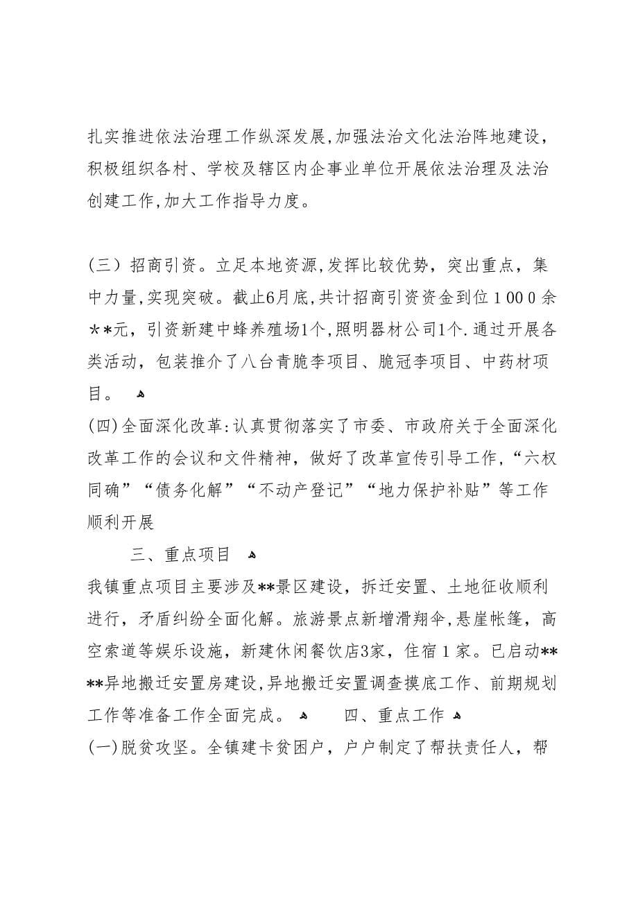 镇人民政府关于上半年工作的自查报告_第5页