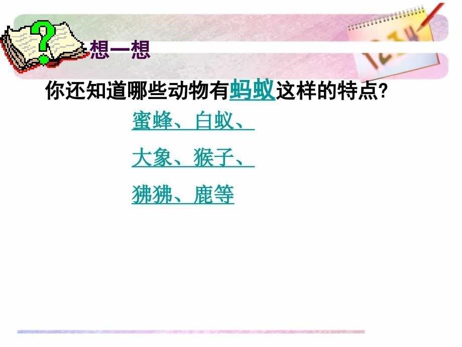 人教版生物八上523社会行为课件2_第5页