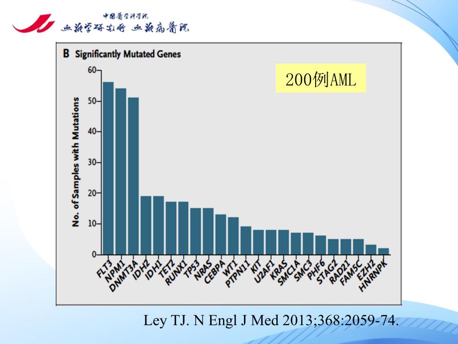 血液病学课件：急性髓系白血病的治疗_第3页