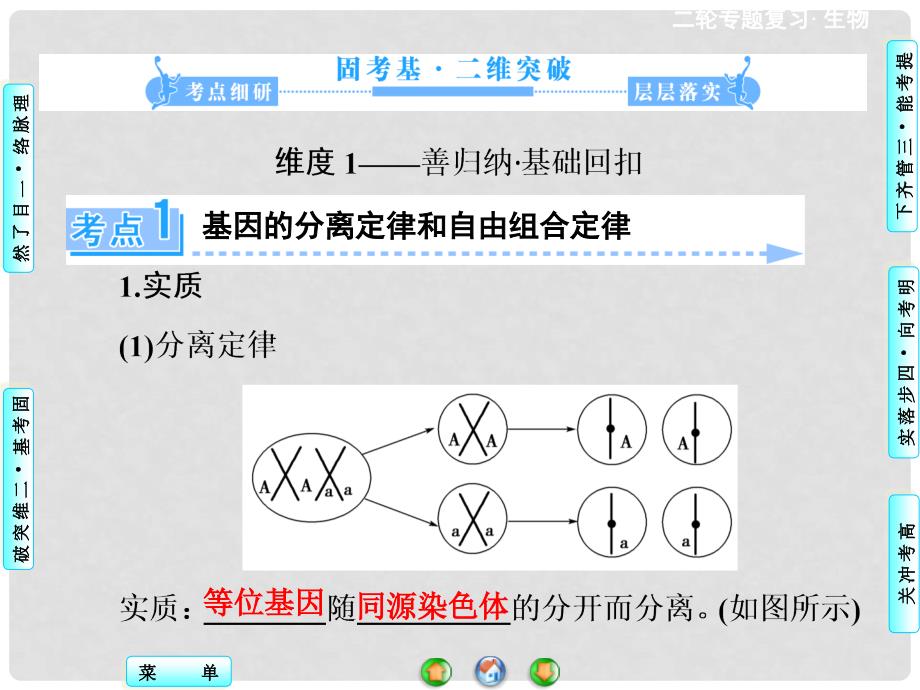 高三生物二轮复习 第1部分 专题4 第2讲 遗传的基本规律和伴性遗传课件 新人教版_第3页