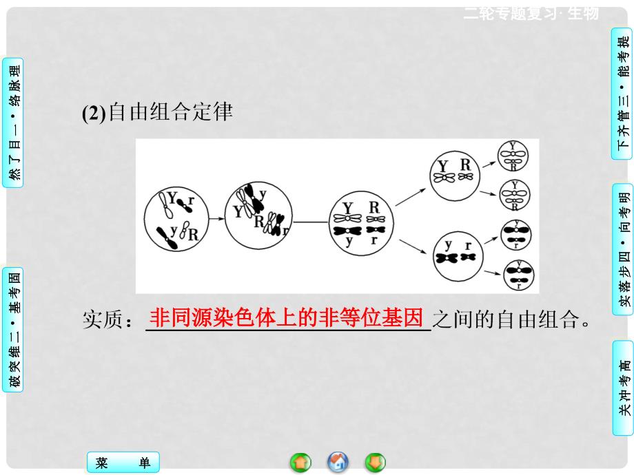 高三生物二轮复习 第1部分 专题4 第2讲 遗传的基本规律和伴性遗传课件 新人教版_第4页