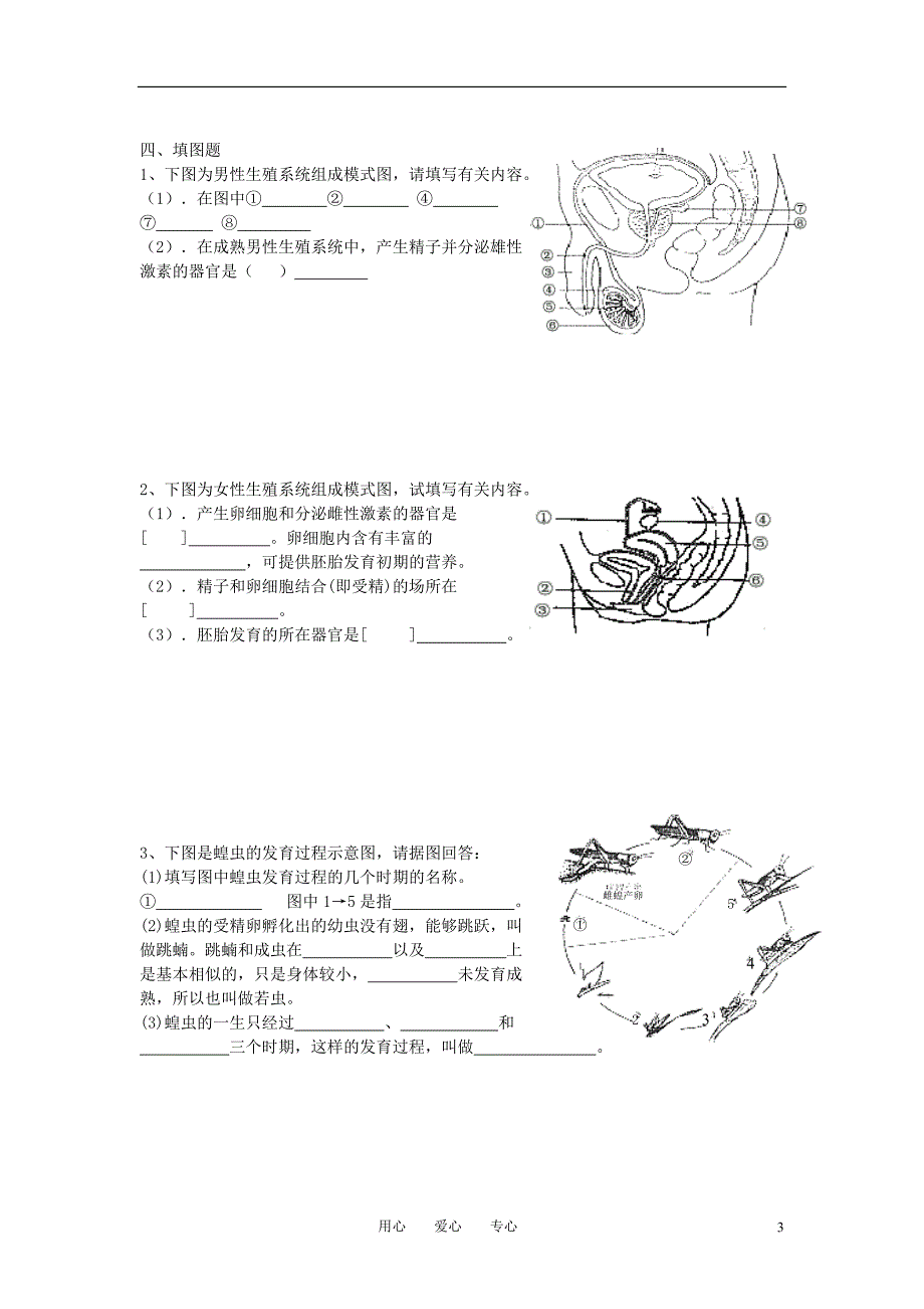 八年级生物上册第19章生物的生殖和发育复习巩固练习题北师大版_第3页