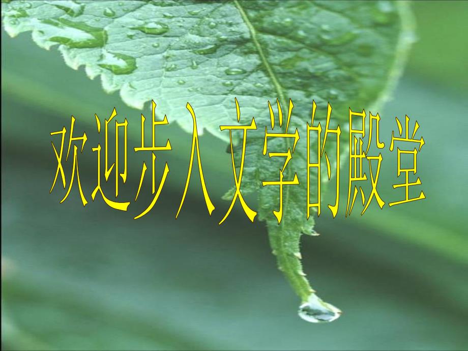 《在烈日和暴雨下》_第1页