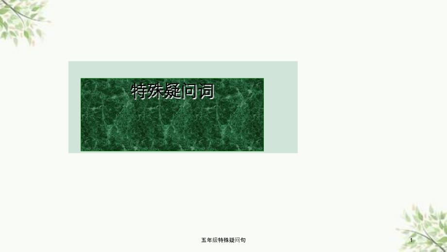 五年级特殊疑问句课件_第1页