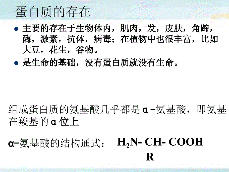 蛋白质与核酸_第3页