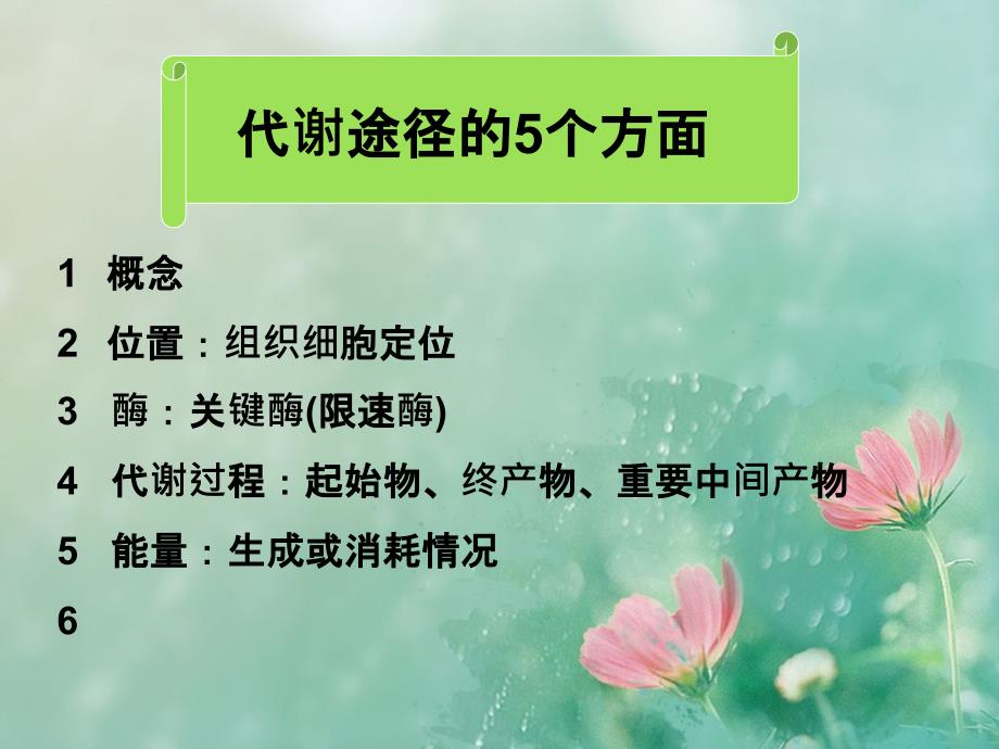 糖代谢途径的5个方面_第2页