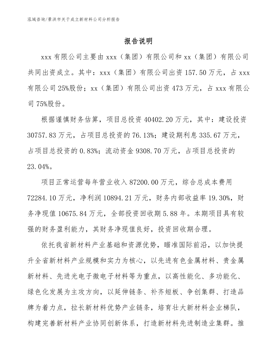 景洪市关于成立新材料公司分析报告_第2页