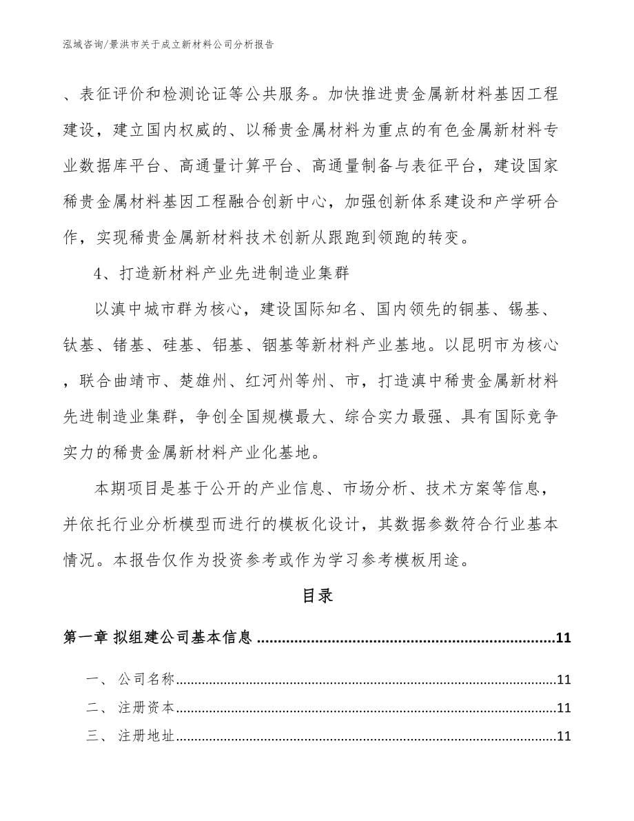 景洪市关于成立新材料公司分析报告_第5页