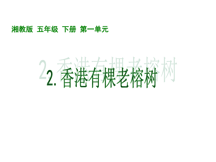 五年级上册语文课件－《香港有棵老榕树》｜湘教版(共18张)_第1页