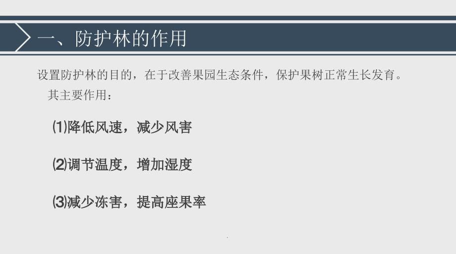 果园防护林的规划和营造ppt课件_第4页