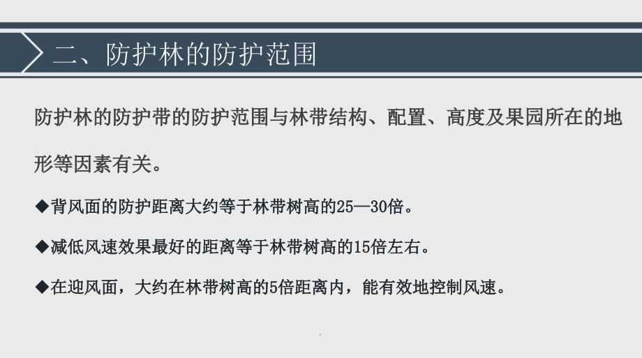 果园防护林的规划和营造ppt课件_第5页