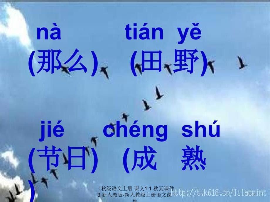 最新级语文上册课文11天课件3新人教版新人教级上册语文课件_第5页