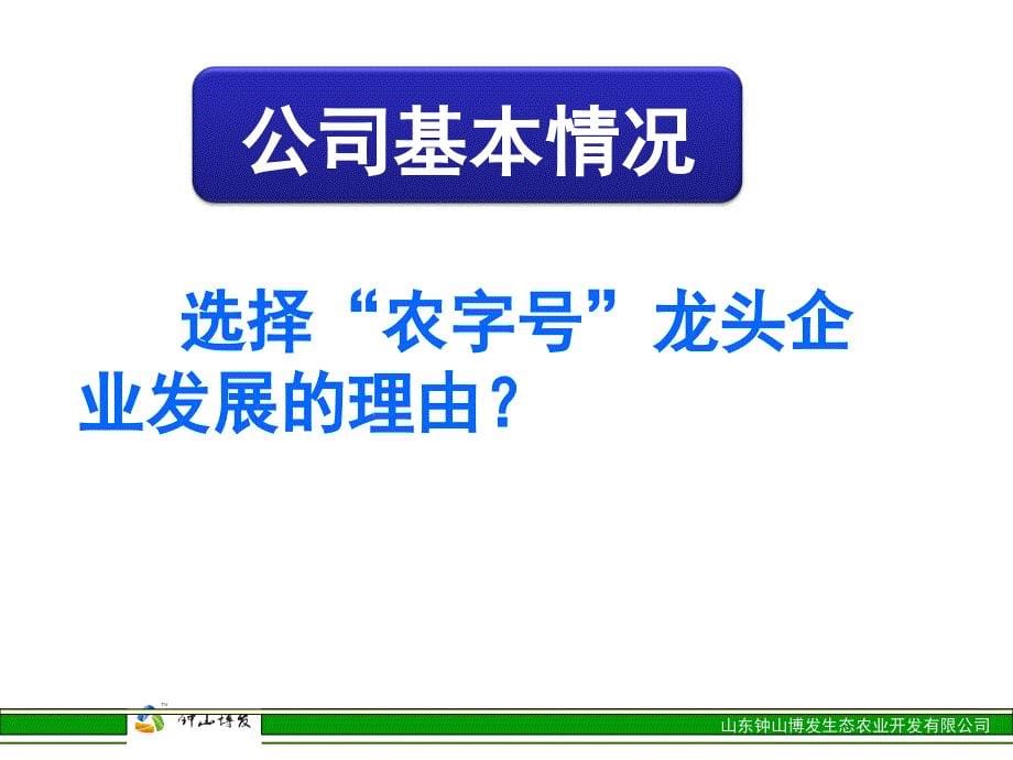 生态农业公司整体发展思路介绍_第5页