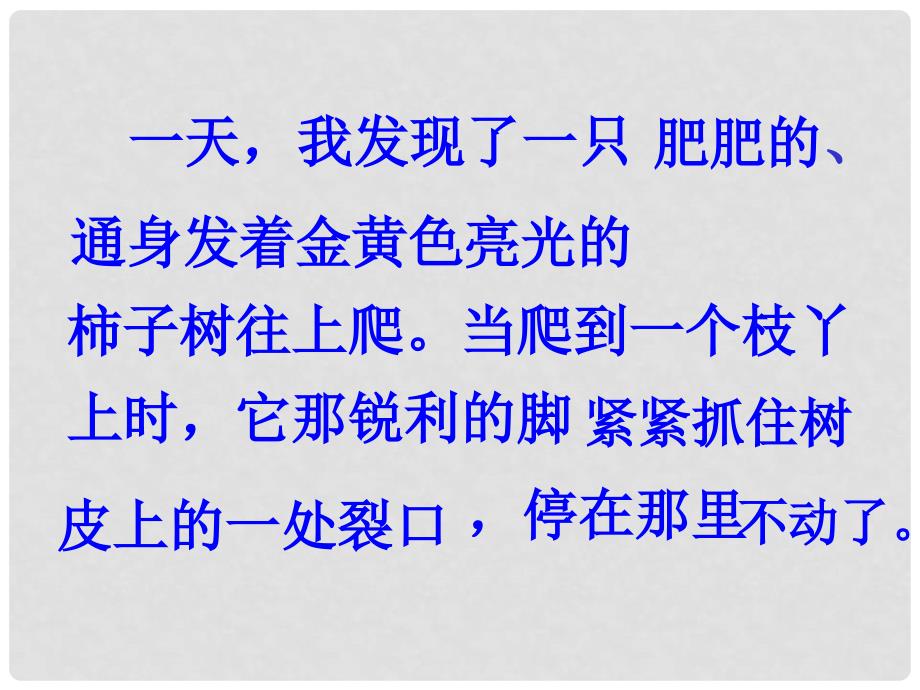 四年级语文上册 第二单元 金蝉脱壳课件1 西师大版_第3页