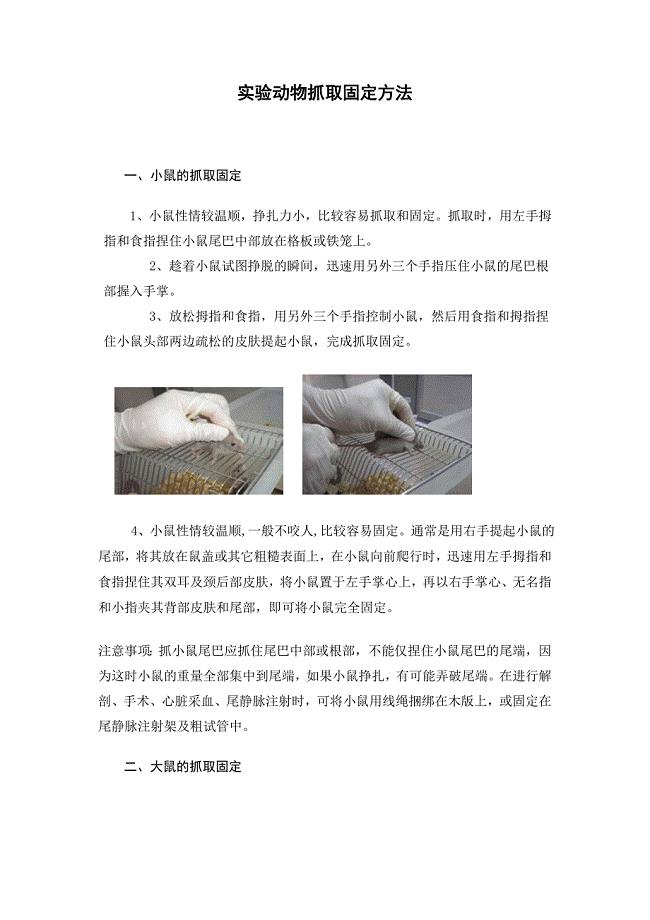 实验动物抓取固定方法.doc