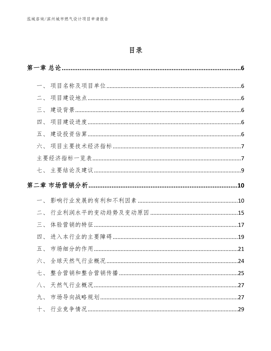 滨州城市燃气设计项目申请报告_第2页