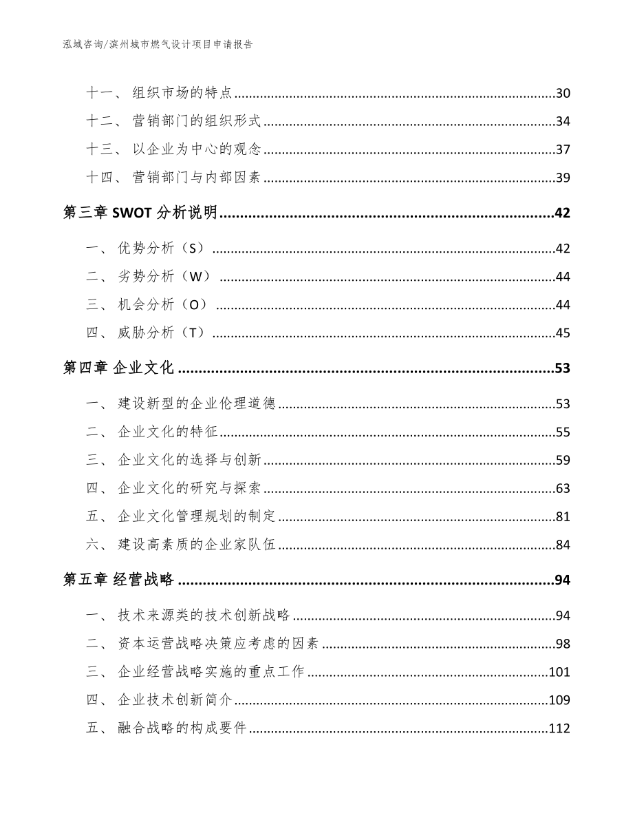 滨州城市燃气设计项目申请报告_第3页